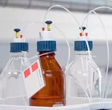 Three bottles with special bottle stoppers. Photo.